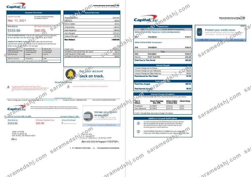 USA Capital One bank statement template in Word and PDF format (2 pages) version 3